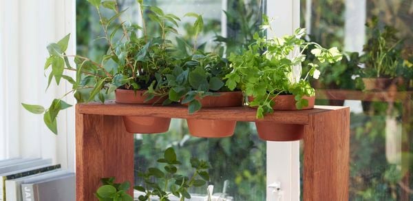 Wooden herb garden stand with 6 pots of herbs being held
