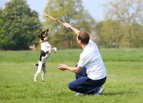 person playing with their dog in a garden