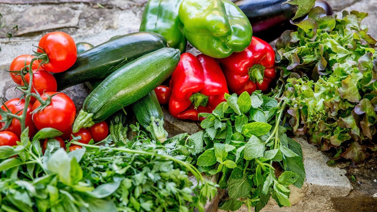 Harvest of zucchini, capsicum, tomatoes and eggplant