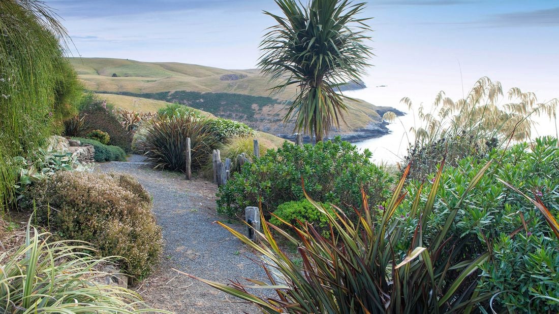 A gravel path surrounded by dense, hardy plants and wooden posts, leading towards a hilly landscape under a blue sky.