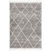 Rare 44 Silver 290X200 Rug