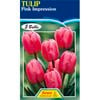 Tulip Pink Impression - 5 Bulbs