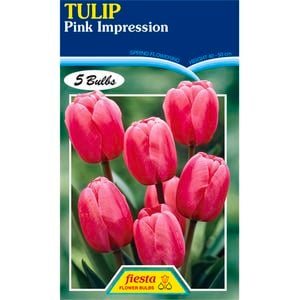 Tulip Pink Impression - 5 Bulbs