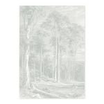 Giant Eucalypt - Sage Green A1 Poster Print