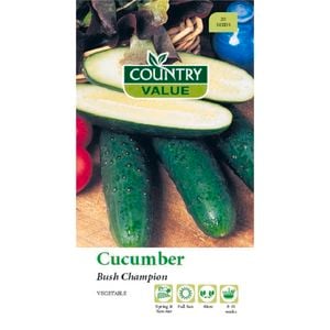 Country Value Seed Cucumber Bush Champion