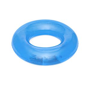 H2OGO! Translucent Swim Ring - Blue