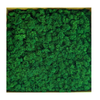 Blooms of Joy 1kg Forrest Green Reindeer Moss