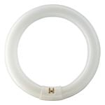 Philips G10 Fluro 1285Lm Cool White 22W Circular 