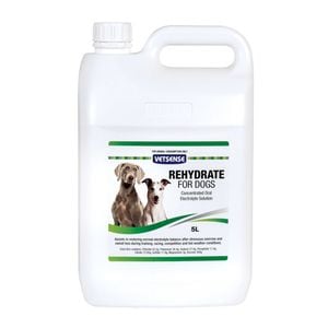 Vetsense Rehydrate Electrolyte Balance Maintenance For Dogs 5l