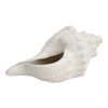 Decorative Shell Conoch Figurine Home/Office Room Tabletop Decor Rustic Ivory