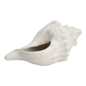 Decorative Shell Conoch Figurine Home/Office Room Tabletop Decor Rustic Ivory