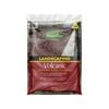 Brunnings 20kg Volcanic Decorative Landscape Stone