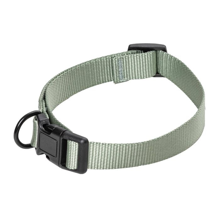 Happy Tails Medium Sage Dog Collar