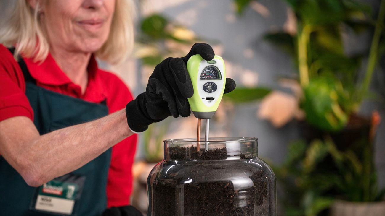 Bunnings team member testing soil in a glass vase