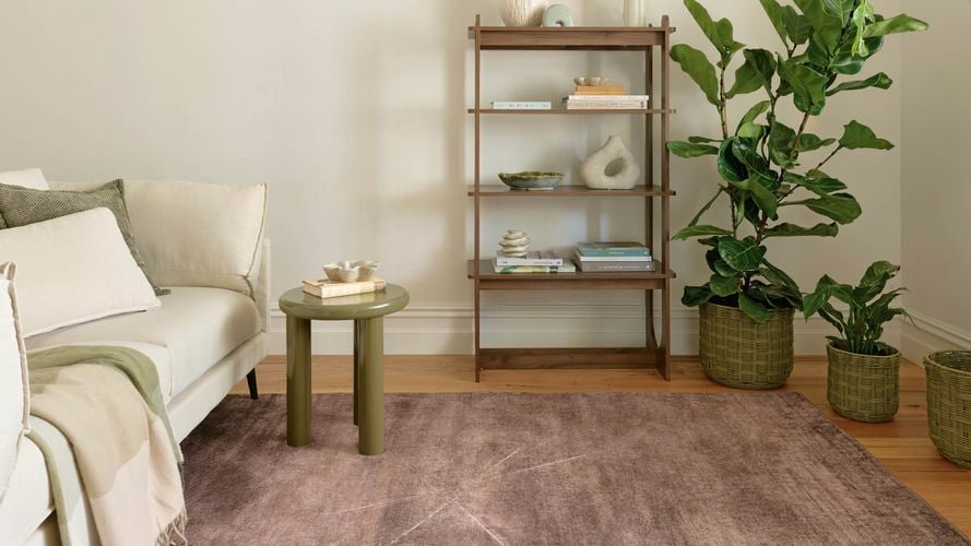Neutral living room with sofa, shelving unit, indoor plants, and rug