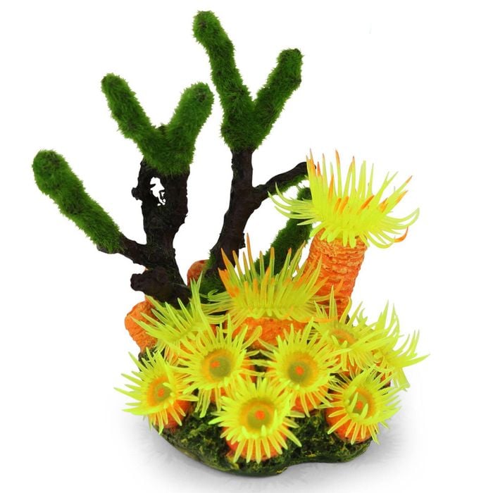 Kazoo Soft Coral W/textured Moss (19453)