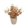 Artificial Plant - Baby Eucalyptus - Burgundy 38cm - Burgundy