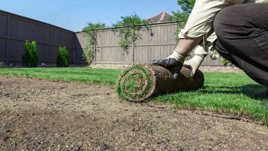 Person laying turf in backyard. 