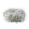 Lifebay LED Garland String Lights - Warm White