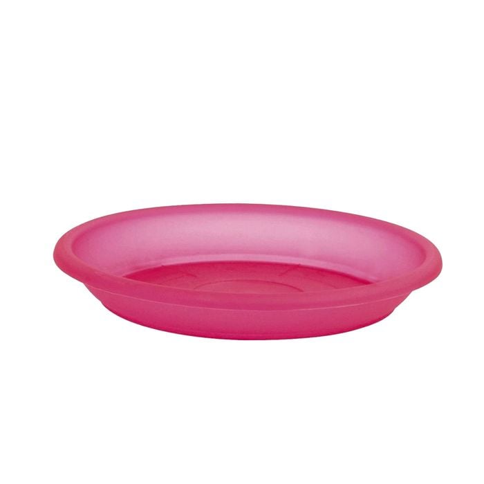 EDEN 14cm Red Transparent Round Saucer