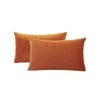 Gioia Casa Twin-Pack Velvet Cushion Covers – Soft Microfibre Cushion Covers with Hidden Zipper (Terracotta, 30cm*50cm)