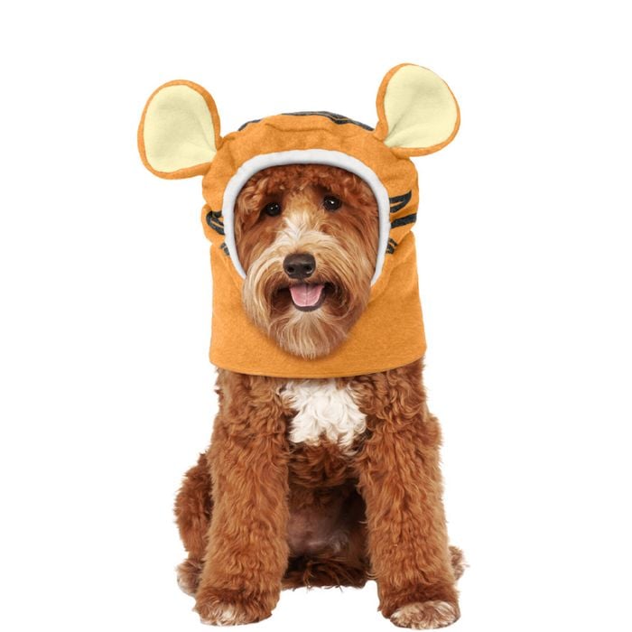 Disney Tigger Pet/Animal Accessory Halloween Party Cosplay Mascot Outfit Costume