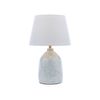 Clay & Kin 39cm Duck Egg Fern Table Lamp