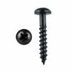 Pinnacle 5 x 50mm Black Round Timber Screw - 20 Pack
