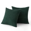 Catzon 2 Pcs Throw Pillow Covers Soft Striped Corduroy Cushion Case for Couch 40X40cm-Dark Green