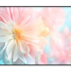 Flowers With Soft Colored Filters  Print 100% Australian Made 120x90cm  (Poster)