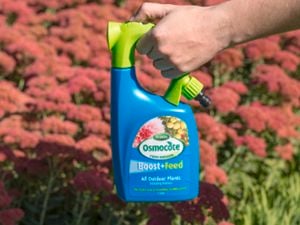 Osmocote fertiliser spraying on garden