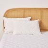 Dreamaker Luxe 50/50 Duck Down and Feather Pillow Twin Pack - Standard