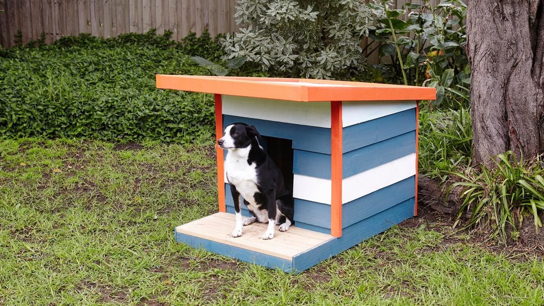 D.I.Y. Dog Kennel Bunnings Australia