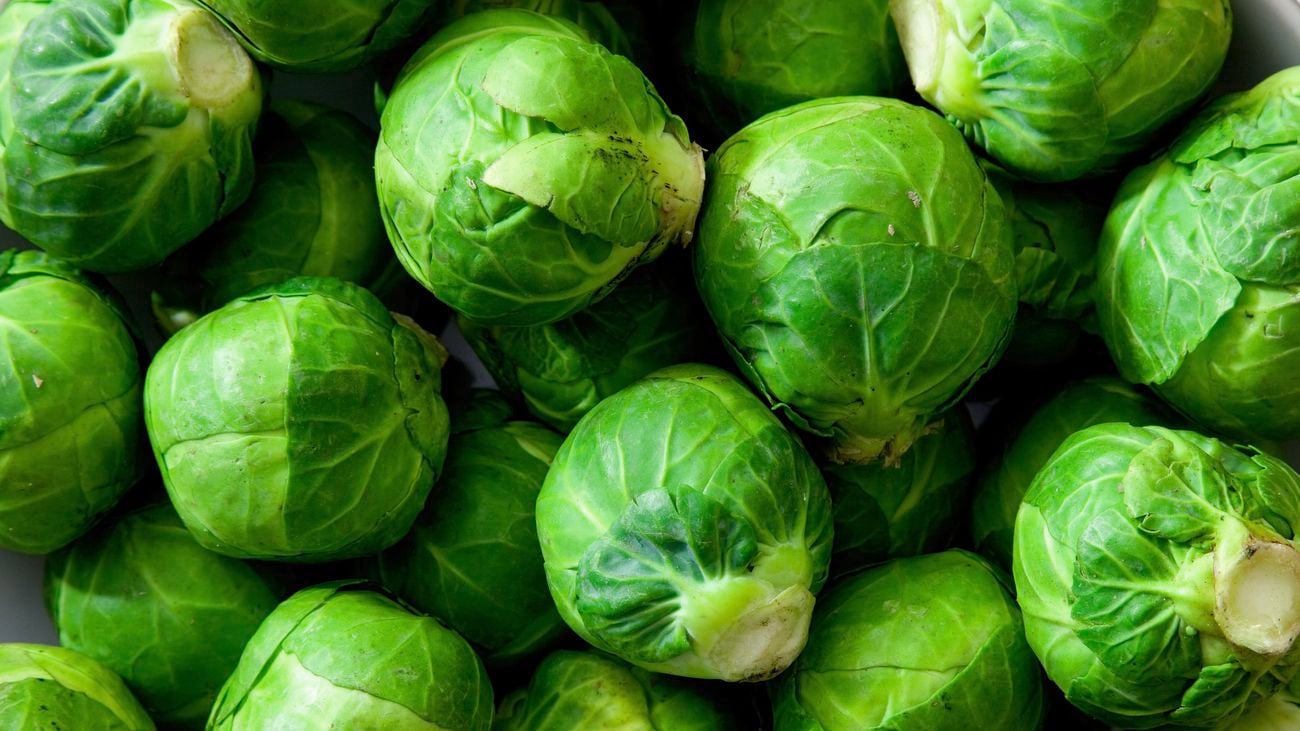 Close up of a group of raw brussel sprouts.