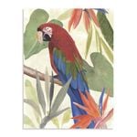 Artey | Tropical Parrot Composition III - Stretched Canvas - Stretched Canvas - 60 x 80cm