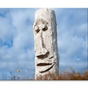 Driftwood Totem, New Zealand  Print 100% Australian Made 75 x 50cm  (Stretched)