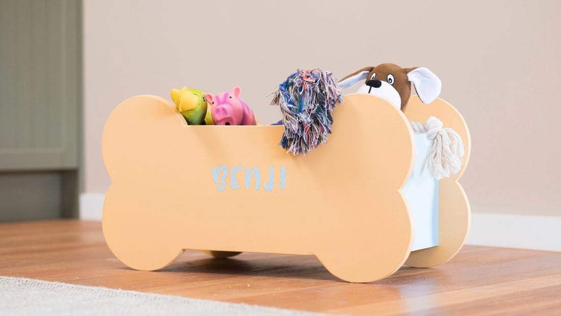 Bone shaped dog toy box hotsell