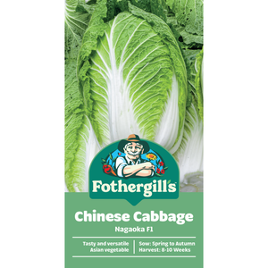 Fothergill's Nagaoka Chinese Cabbage Vegetable Seed