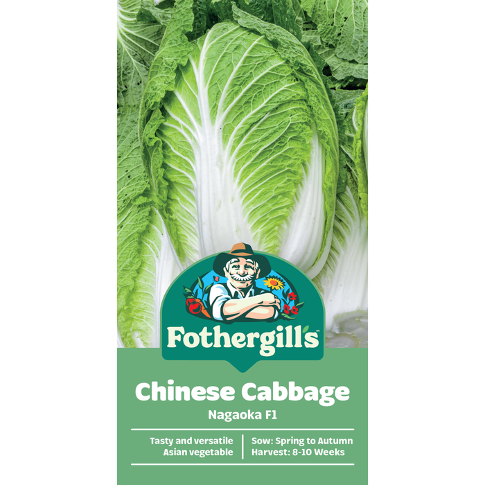 Fothergill's Nagaoka Chinese Cabbage Vegetable Seed