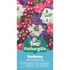 Fothergill's Verbena Dwarf Compact Flower Seeds