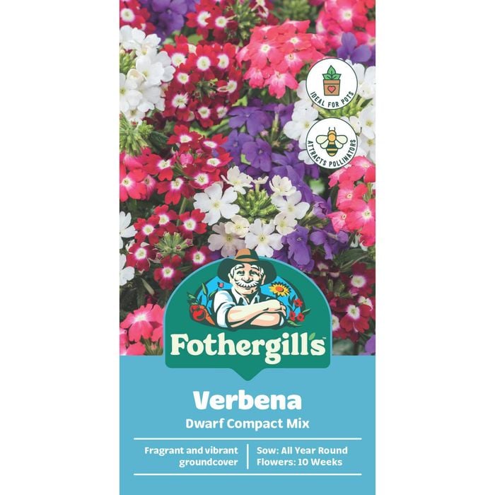 Fothergill's Verbena Dwarf Compact Flower Seeds