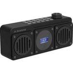 Avantree Boombyte Portable FM Radio BT Speaker Dual Driver 14W Micro SD