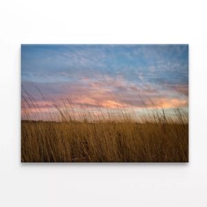 Sunset over Grasses with Sky  Print 100% Australian Made 75 x 50cm  (Stretched)