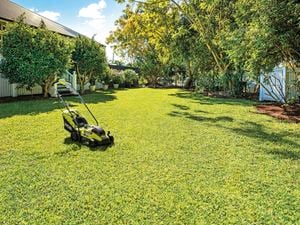 Lawnmower on grass in a backyard
