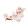 Aqua One Rock Coral Ornament 20x13x11cm (37415)