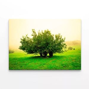 Grassland Scene  Print 100% Australian Made 120 x 90cm  (Stretched)