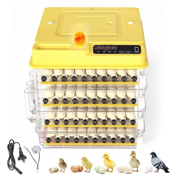 Advwin 288 Egg Incubator Auto Water System Built-in Egg Candler