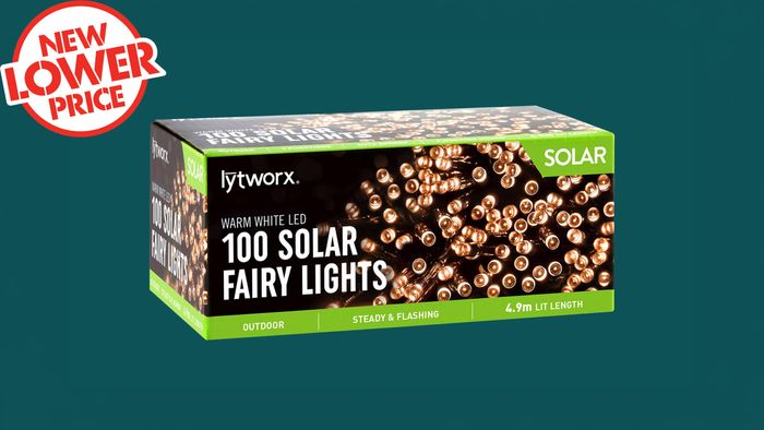 Lytworx 100 Multicolour LED 2 Function Solar Fairy Lights.