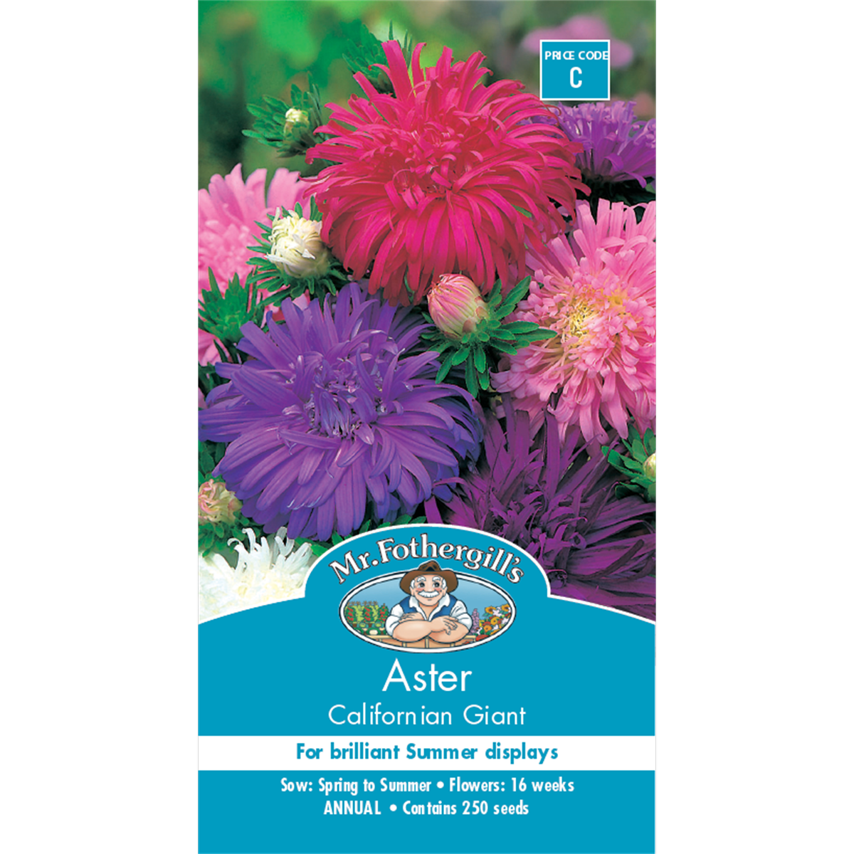 Mr Fothergill's Californian Giant Aster Flower Seeds - Bunnings Australia