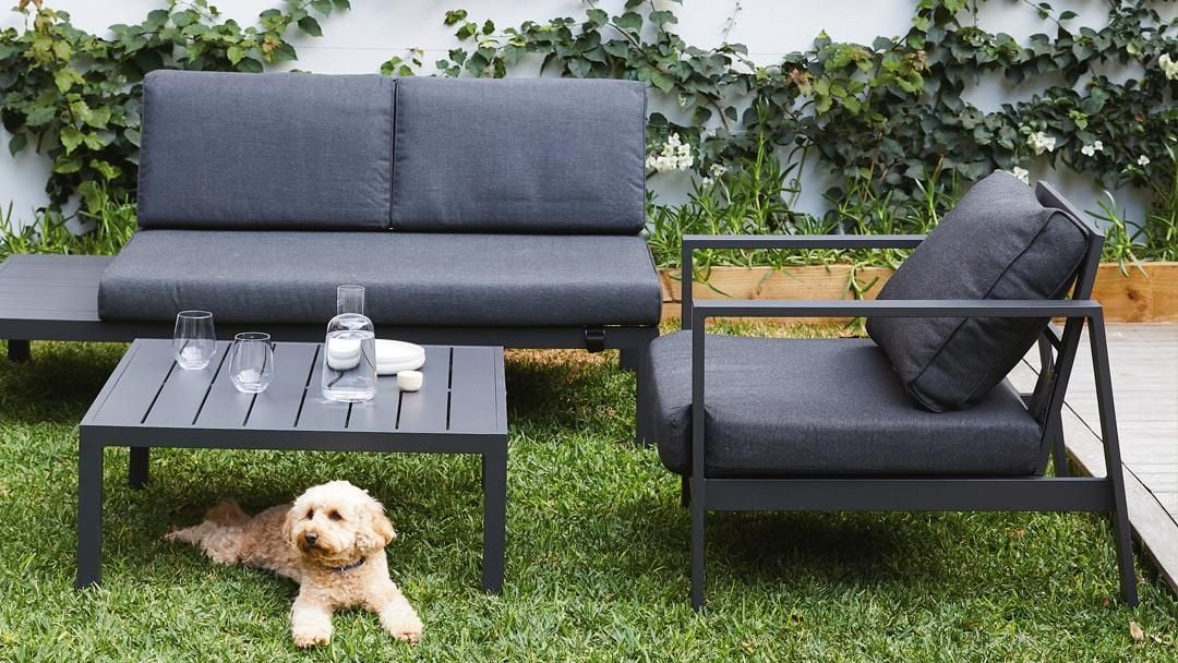 outdoor lounge with a dog